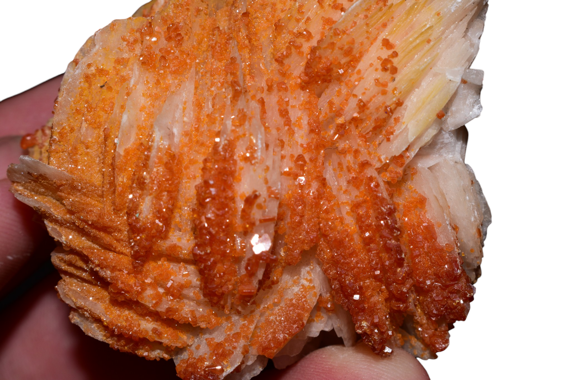 Vanadinite barite specimen held in hand showing scale and color saturation
