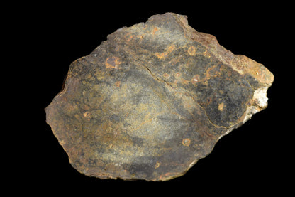 Slice of NWA 13272 ungrouped achondrite meteorite weighing 6.03 grams, featuring a dark, textured surface with mineral inclusions.