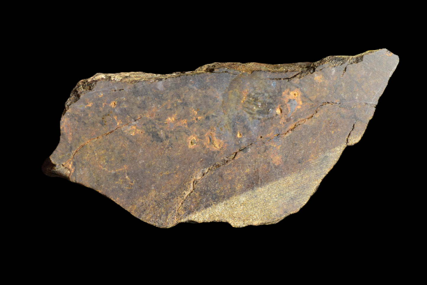 Slice of NWA 13272 ungrouped achondrite meteorite weighing 7.23 grams, showing dark, textured mineral surface.