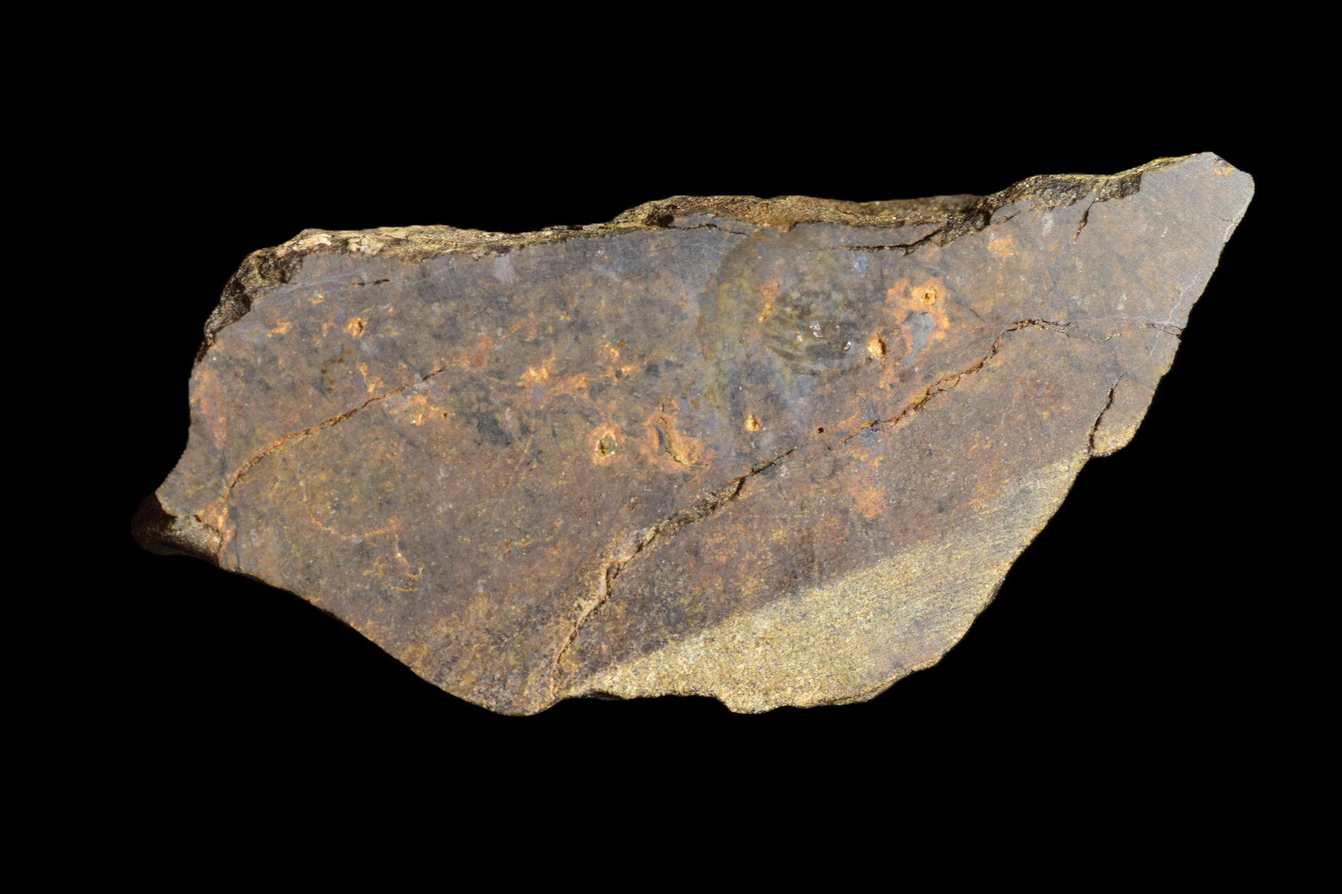 Slice of NWA 13272 ungrouped achondrite meteorite weighing 7.23 grams, showing dark, textured mineral surface.