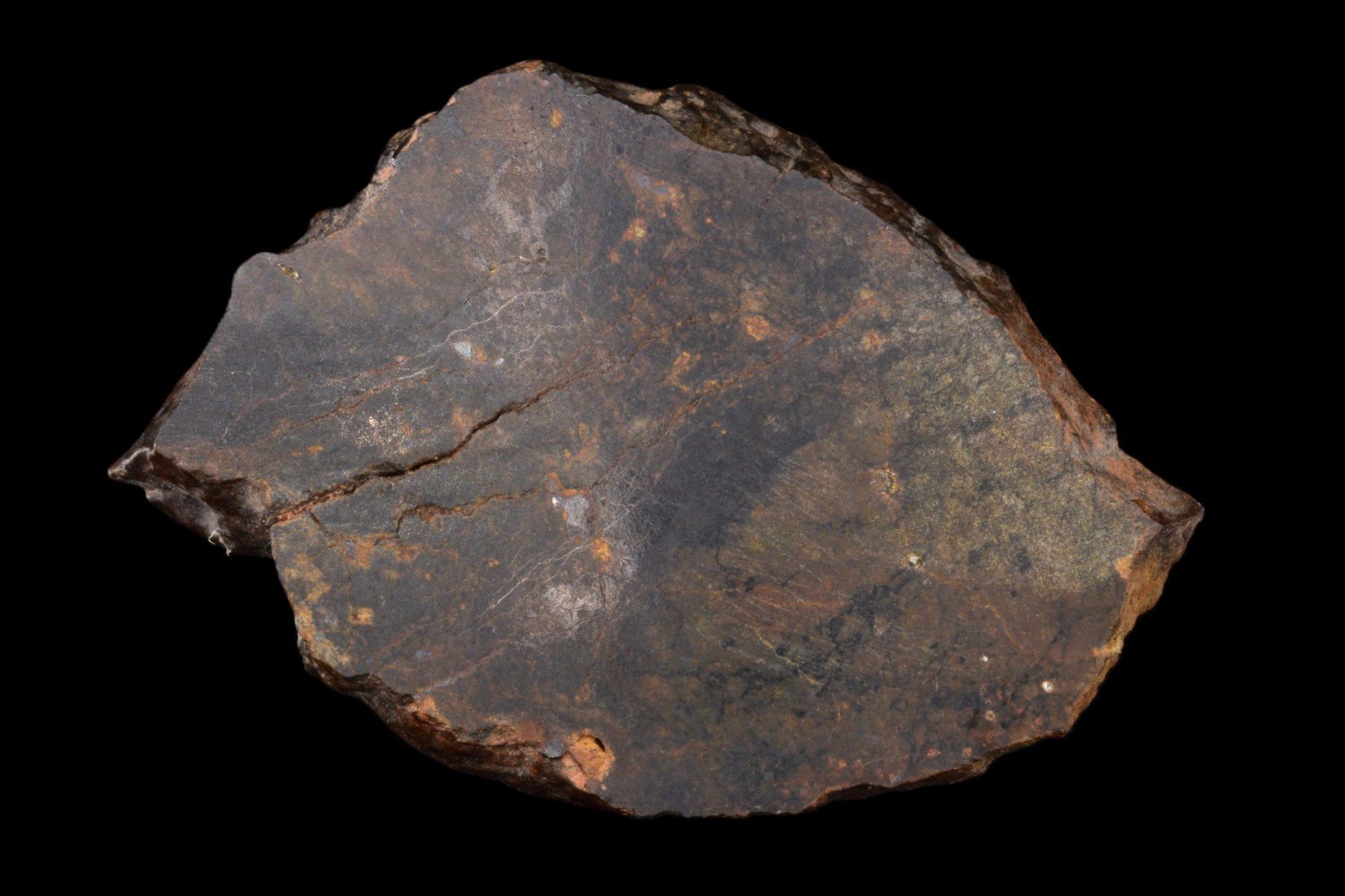 Close-up of a NWA 13272 ungrouped achondrite meteorite slice showing its textured, dark surface and mineral details.