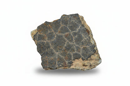 Real chondrite meteorite specimen for sale 8 grams