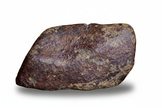 Natural stone meteorite fragment discovered in Northwest Africa