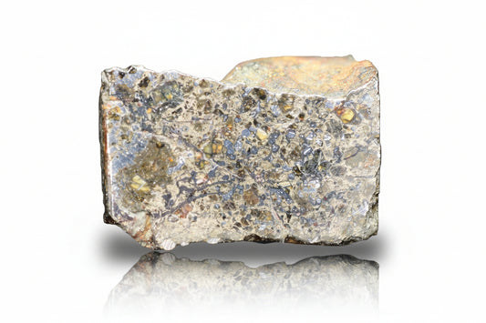 Talsint mesosiderite meteorite slice 0.70 g from Morocco showing brecciated silicate and metal matrix