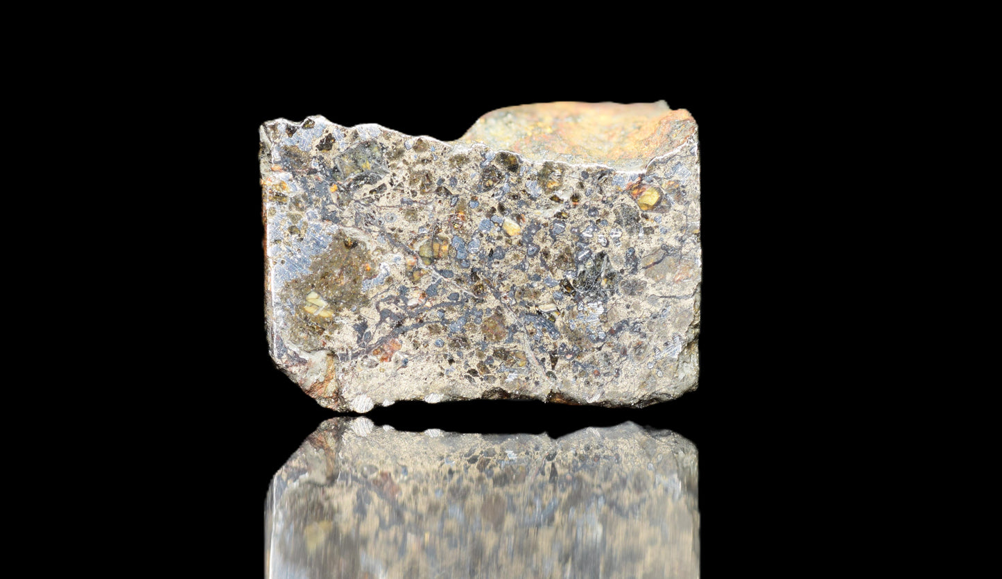 Talsint mesosiderite meteorite slice 0.70 g from Morocco showing brecciated silicate and metal matrix