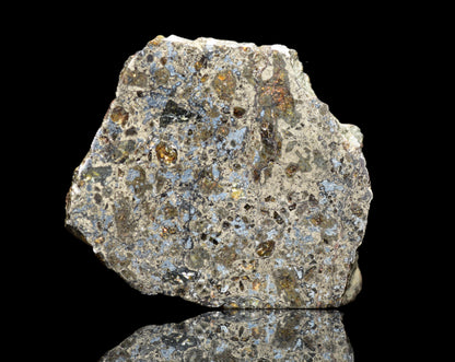 Talsint mesosiderite meteorite slice 0.88 g showing brecciated silicate and metal matrix