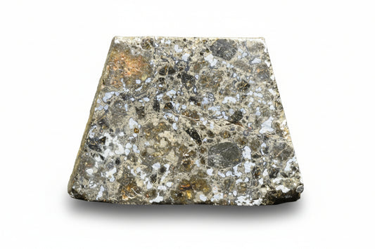 Talsint mesosiderite meteorite slice 1.01 g showing brecciated silicate and metal matrix