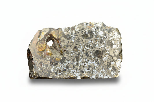 Talsint mesosiderite meteorite slice 1.02 g showing brecciated silicate and metal matrix