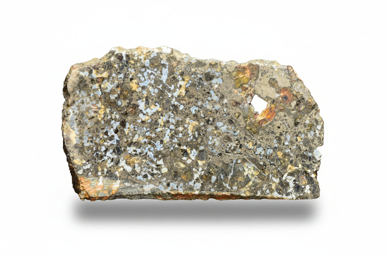 Talsint mesosiderite meteorite slice 1.02 g showing brecciated silicate and metal matrix