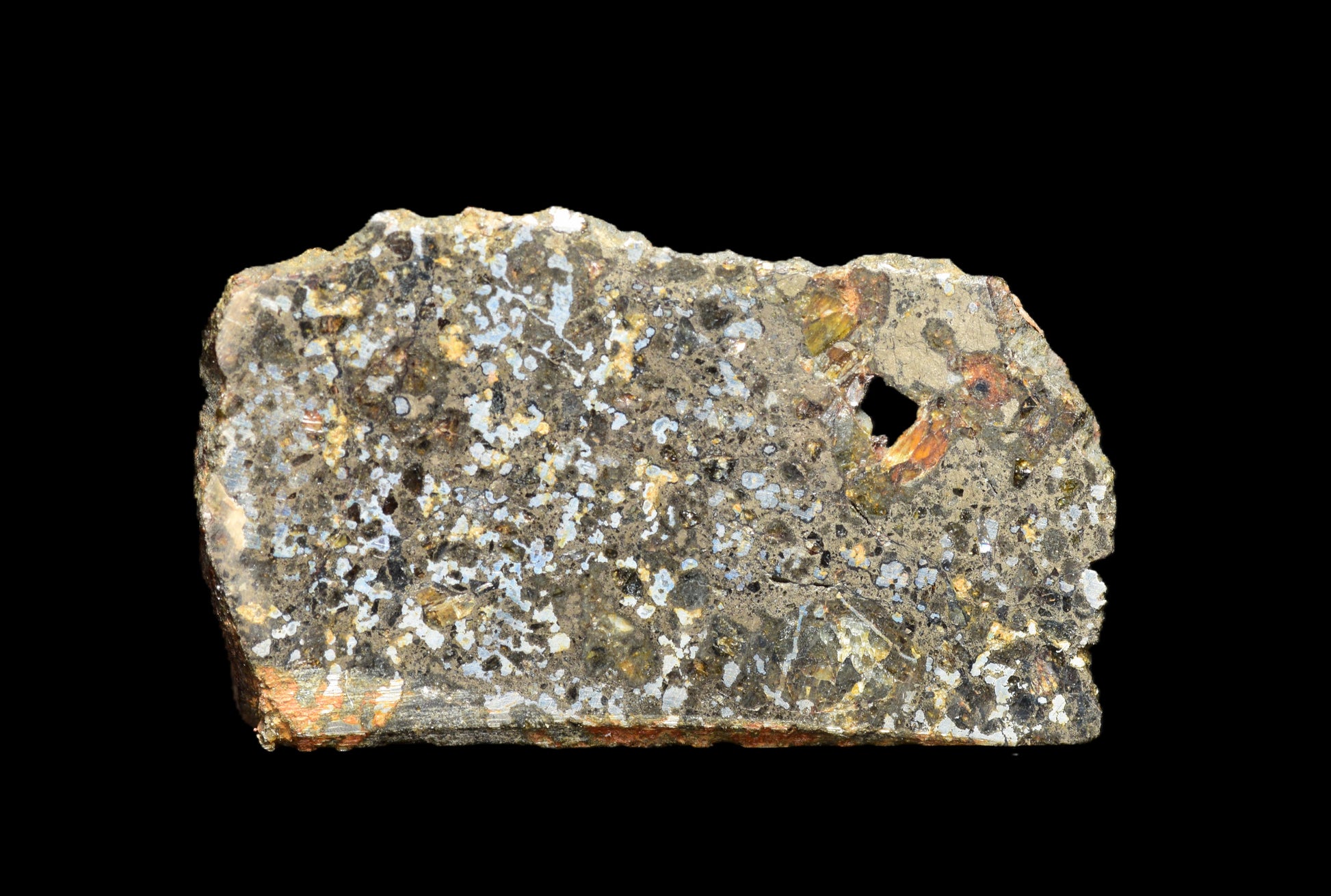 Talsint mesosiderite meteorite slice 1.02 g showing brecciated silicate and metal matrix