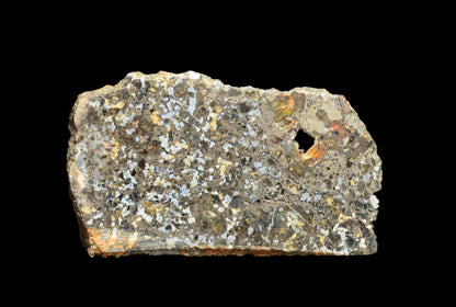Talsint mesosiderite meteorite slice 1.02 g showing brecciated silicate and metal matrix