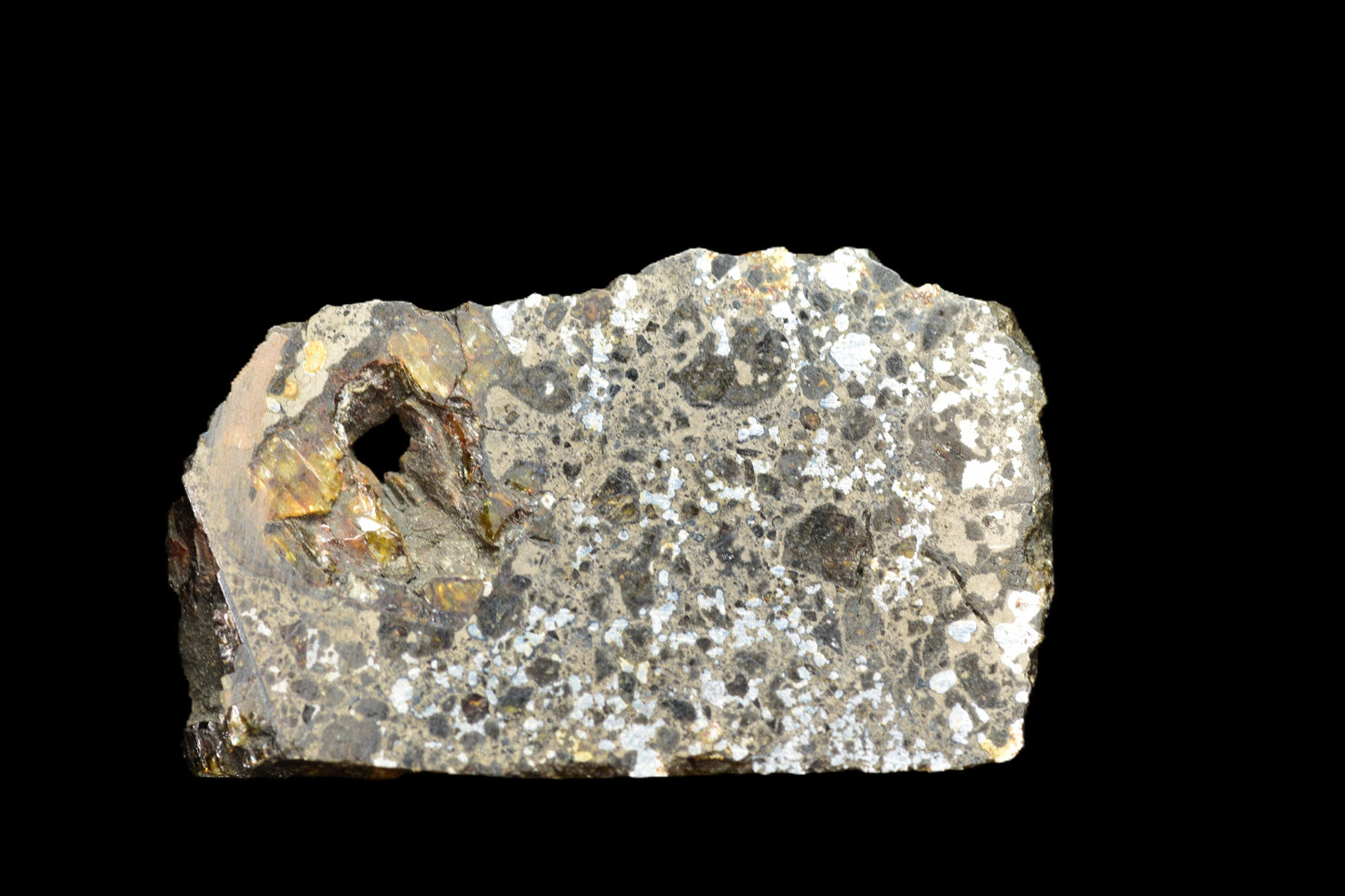 Talsint mesosiderite meteorite slice 1.02 g showing brecciated silicate and metal matrix
