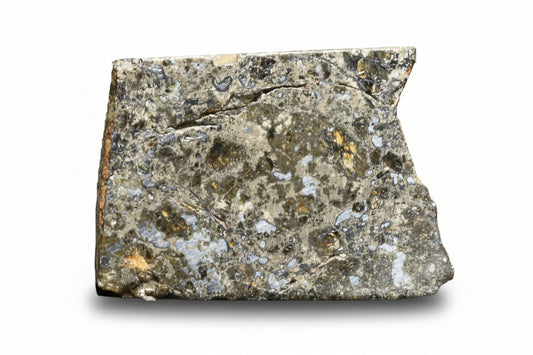 Talsint mesosiderite meteorite slice 1.08 g showing brecciated silicate and metal matrix
