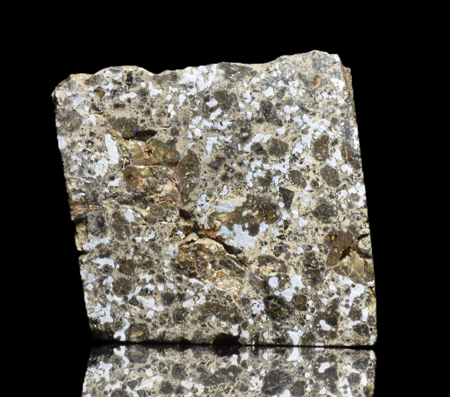 Talsint mesosiderite meteorite slice 1.39 g showing brecciated silicate and metal matrix