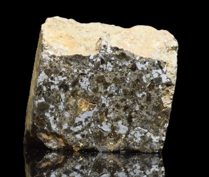 Talsint mesosiderite meteorite slice 1.39 g showing brecciated silicate and metal matrix