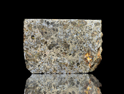 Talsint mesosiderite meteorite slice 1.41 g showing brecciated silicate and metal matrix