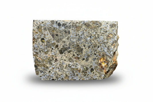 Talsint mesosiderite meteorite slice 1.41 g showing brecciated silicate and metal matrix