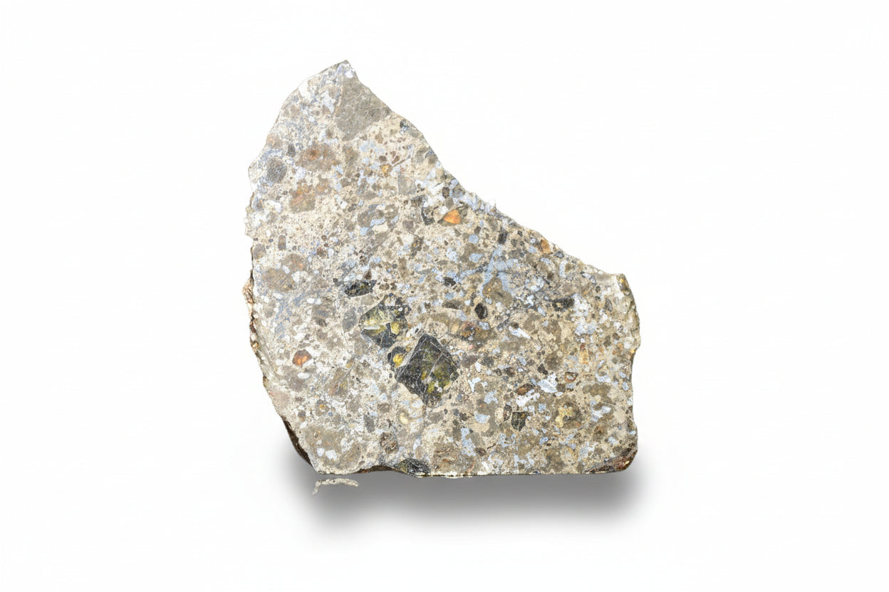 Talsint mesosiderite meteorite slice 0.70 g showing brecciated silicate and iron nickel matrix