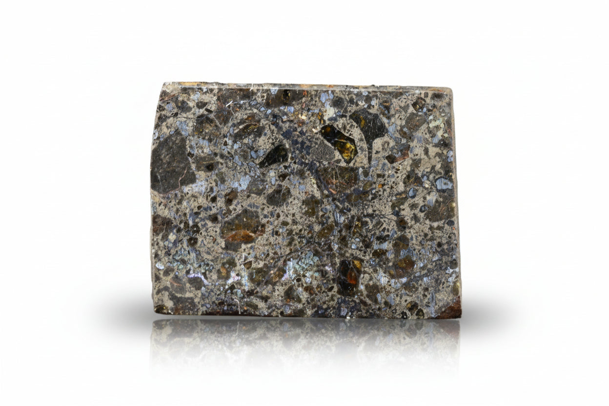 Talsint mesosiderite meteorite slice 2.43 g showing brecciated silicate and metal matrix