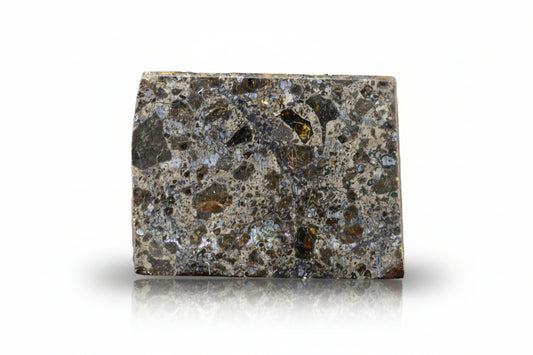 Talsint mesosiderite meteorite slice 2.43 g showing brecciated silicate and metal matrix