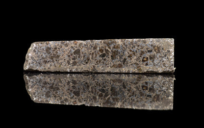 Talsint mesosiderite meteorite slice 4.33 g showing brecciated silicate and iron nickel metal matrix