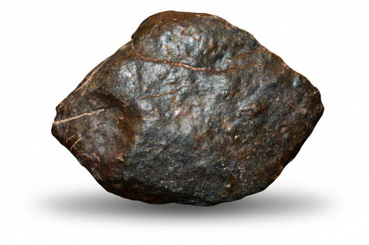 Unclassified chondrite meteorite complete fragment 13.3 g from Northwest Africa