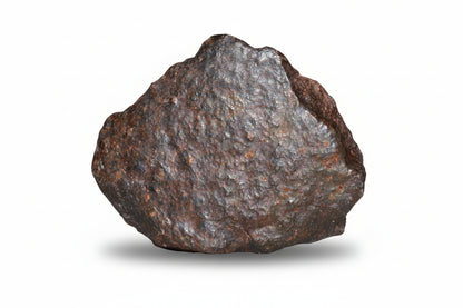 Unclassified chondrite meteorite complete fragment 16.3 g from Northwest Africa