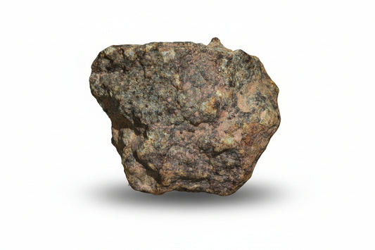 Unclassified chondrite meteorite complete fragment 20.1 g from Northwest Africa