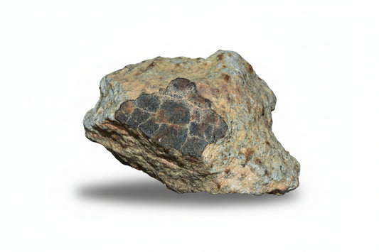 Unclassified chondrite meteorite complete fragment 24.6 g from Northwest Africa