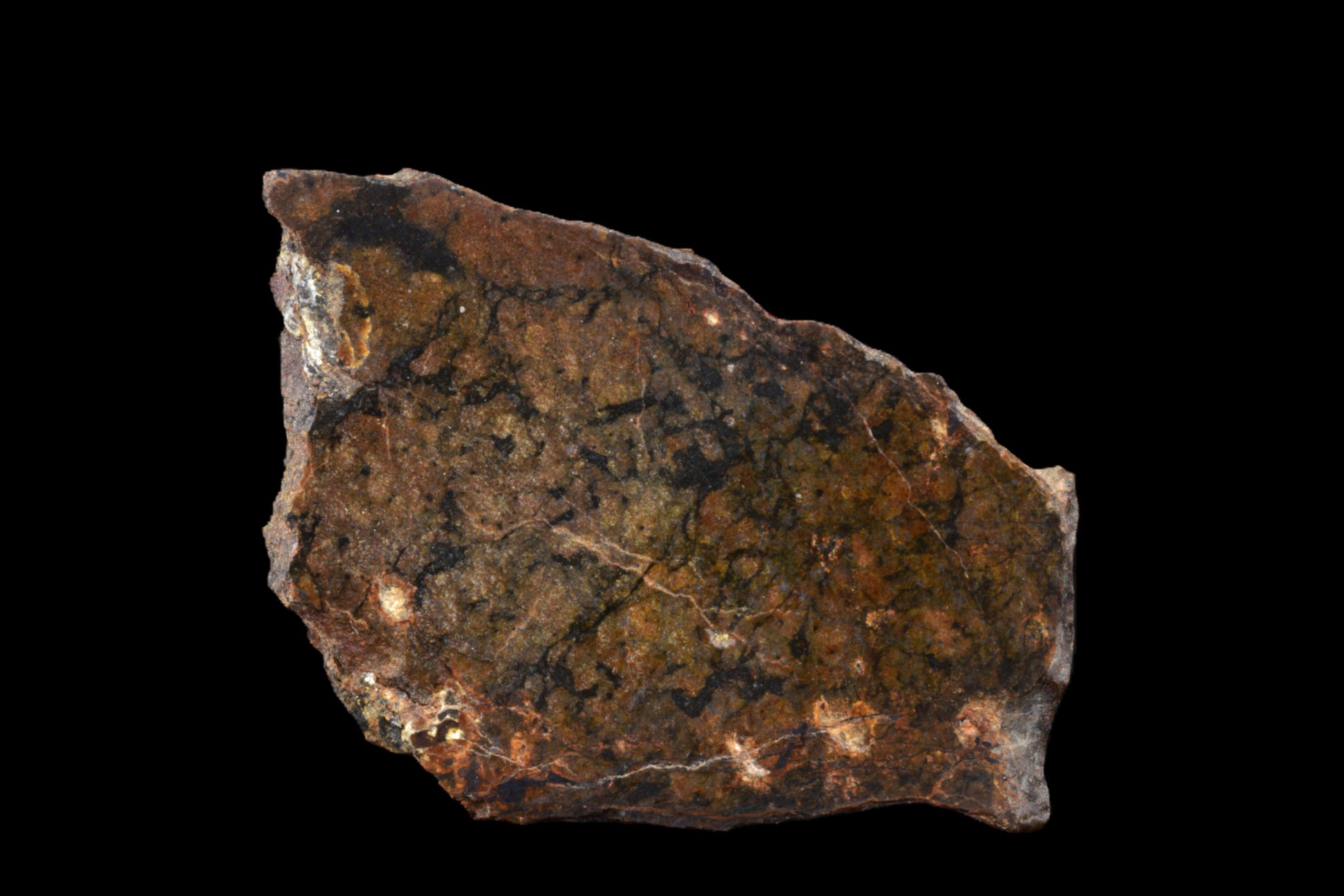 Ungrouped Achondrite meteorite slice, 2.65 g, showcasing dark mineral matrix and unique surface texture, from Buy Meteorite, LLC.