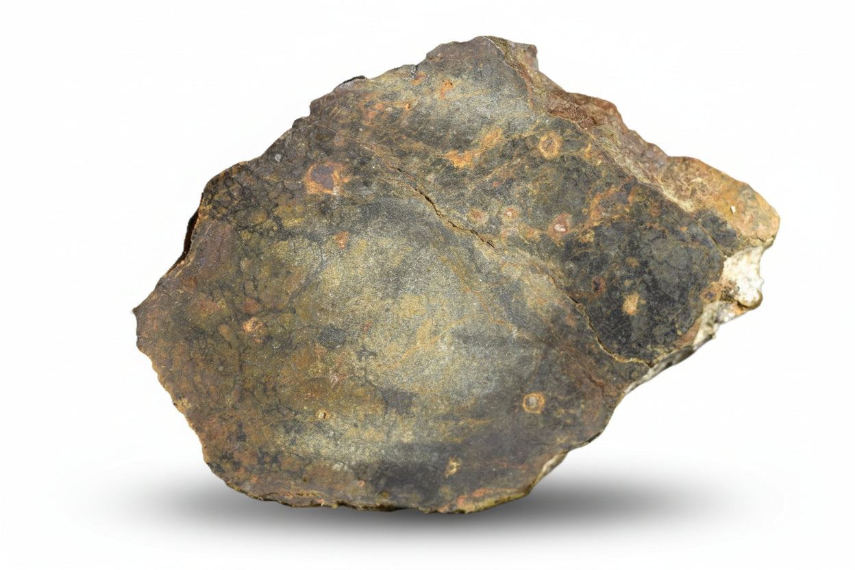 Ungrouped NWA 13272 achondrite meteorite slice showing a rough, unpolished surface with gray and brown mineral textures.