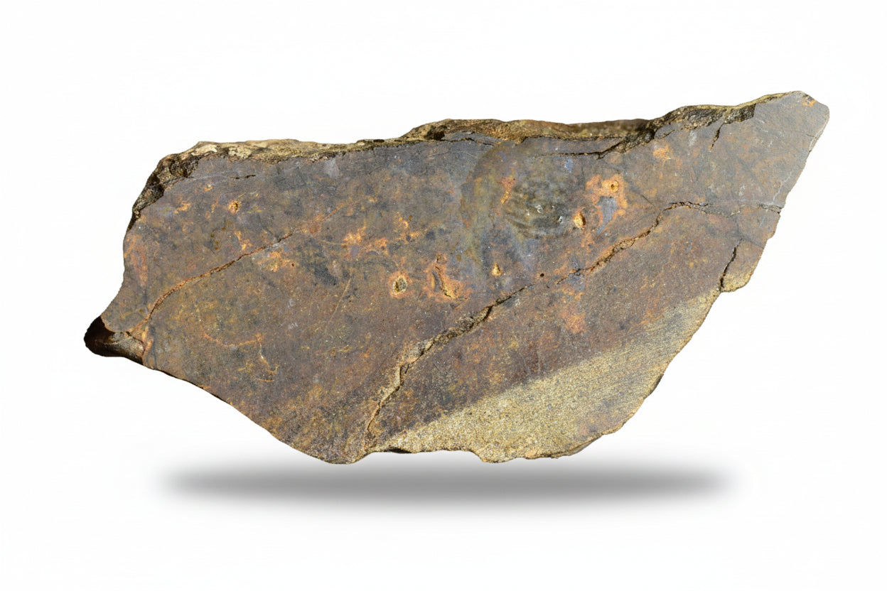 Ungrouped NWA 13272 meteorite slice, achondrite type, weighing 7.23 grams, displayed with a rough, unpolished surface.